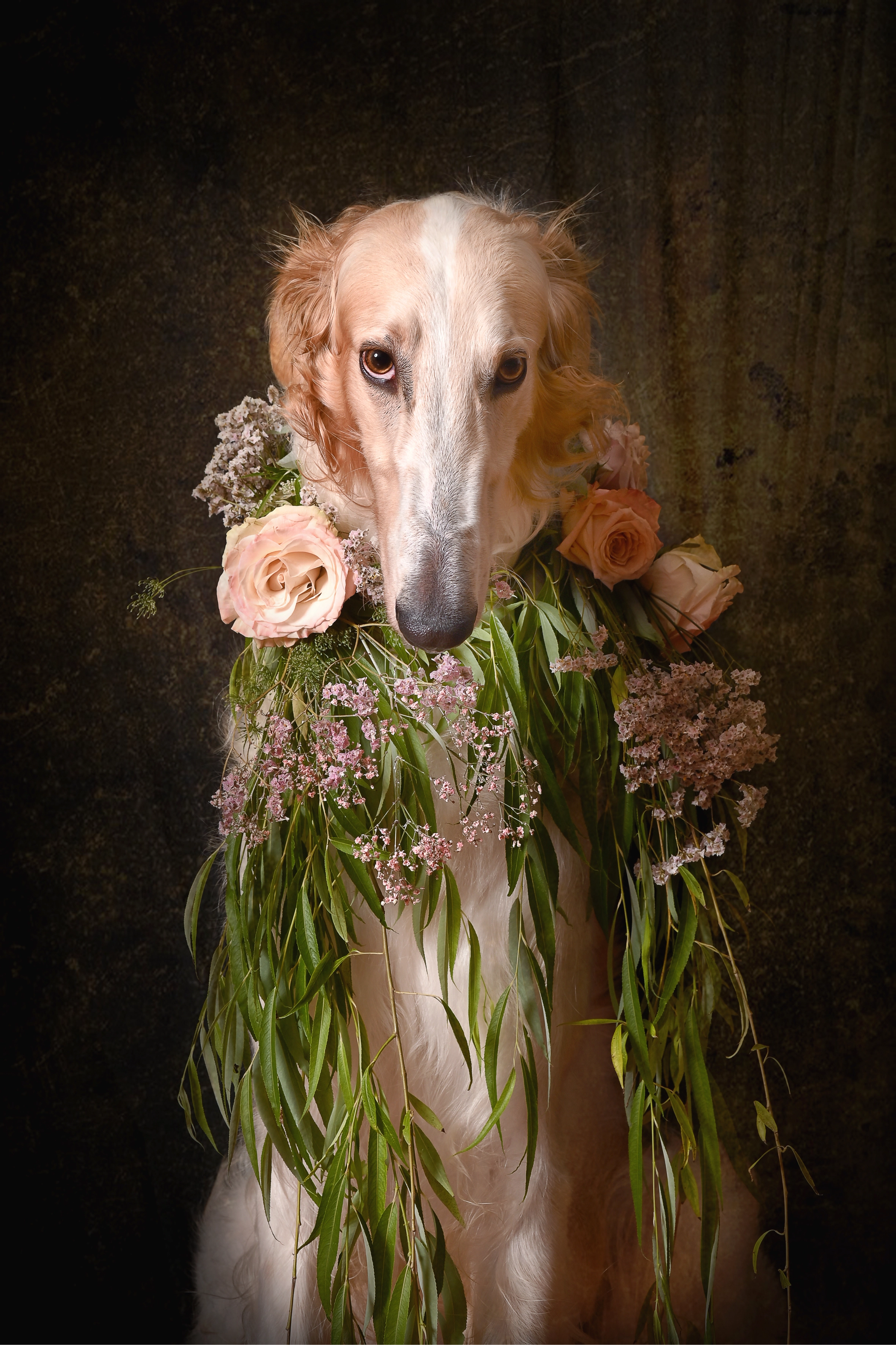 A dog with flowers in its mouth.